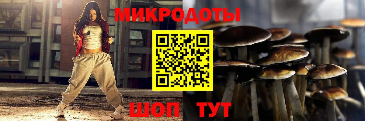 Калининград  Псилоцибиновые грибы MAGIC MUSHROOMS  Вход с VPN 