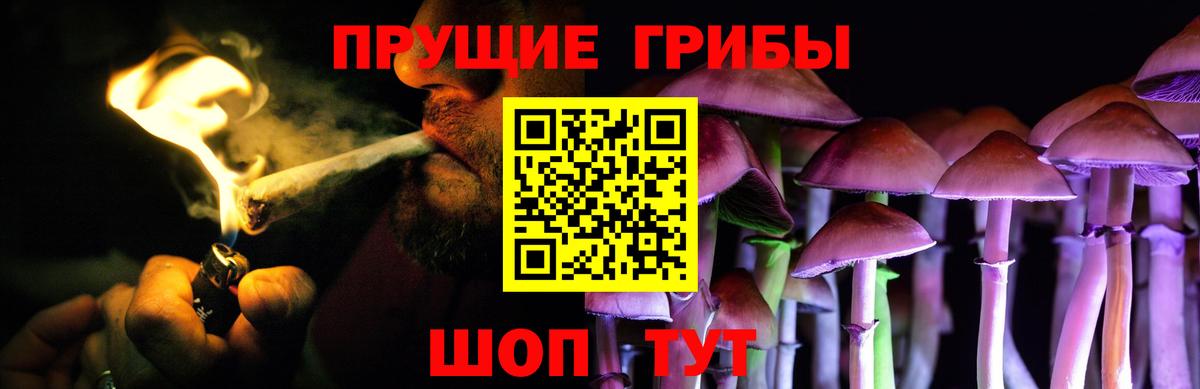 Псилоцибиновые грибы прущие грибы Калининград