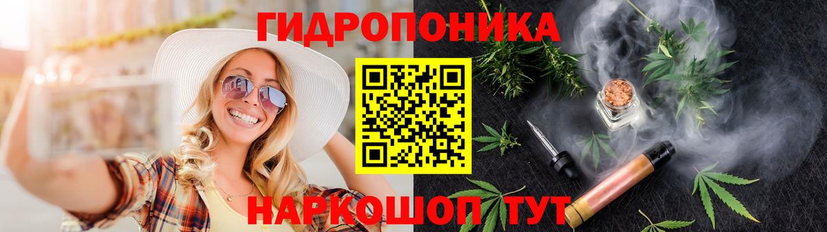 Шишки марихуана сатива Калининград